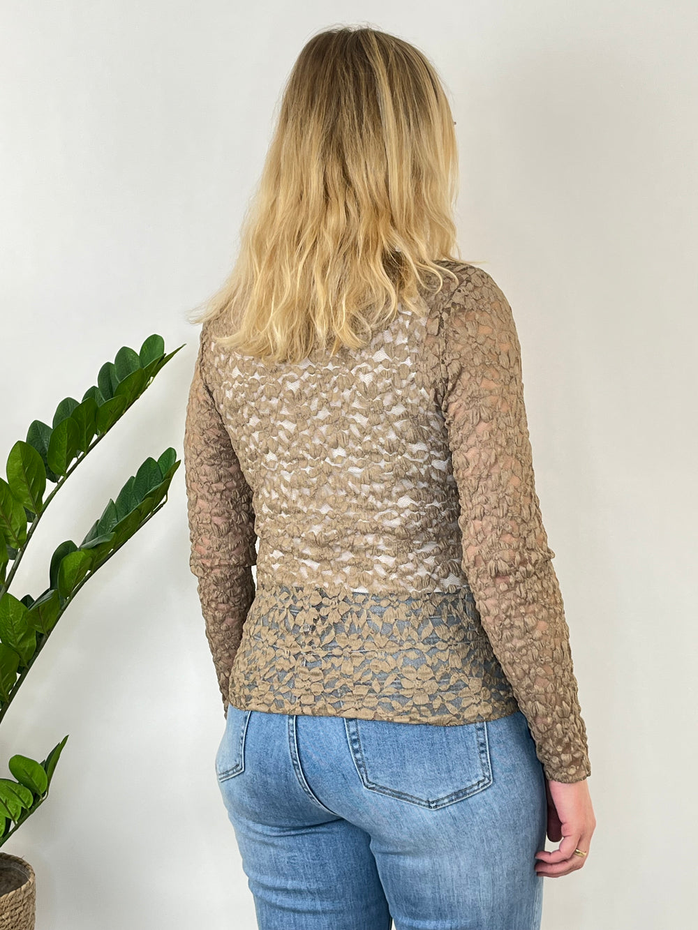 Spitzenshirt, taupe von Bella Vita - Mode & Lifestyle