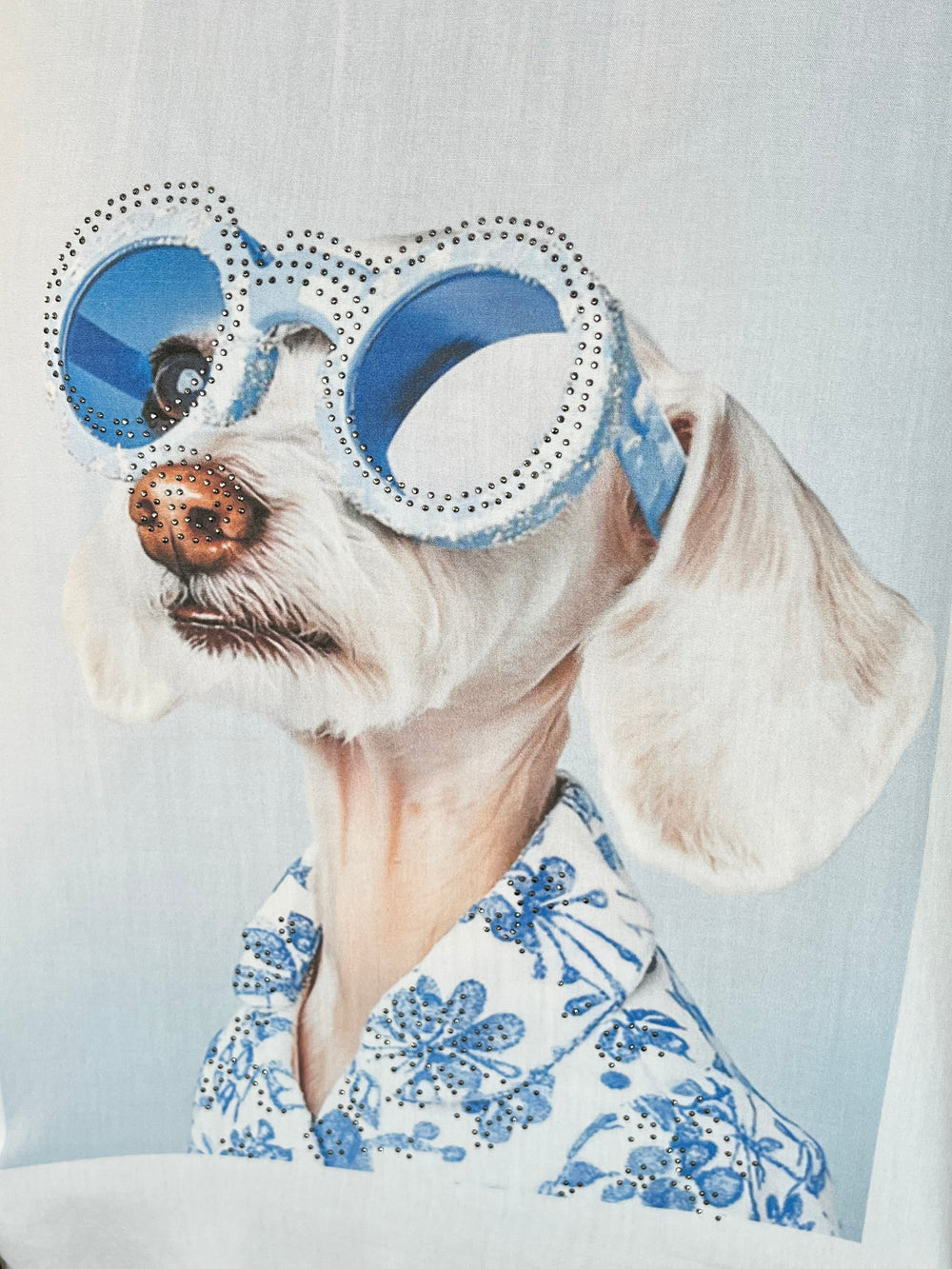 Shirt „Fashion Dog“ mit Glitzersteinchen, hellblau von Bella Vita - Mode & Lifestyle